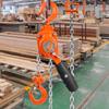 Manual Lever Chain Hoist, 1/4 Ton 550 Lbs Capacity 10 FT Come Along, G80 Galvanized Carbon Steel with Weston Double-Pawl Brake, Auto Chain Leading &