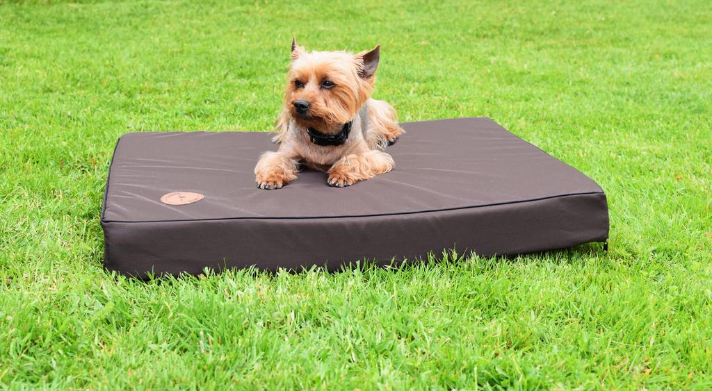 Hector Orthopedic Mattress Brown Outdoor - 55 X 45 X 8