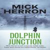 Dolphin Junction by Mick Herron Paperback Book 9781529371284