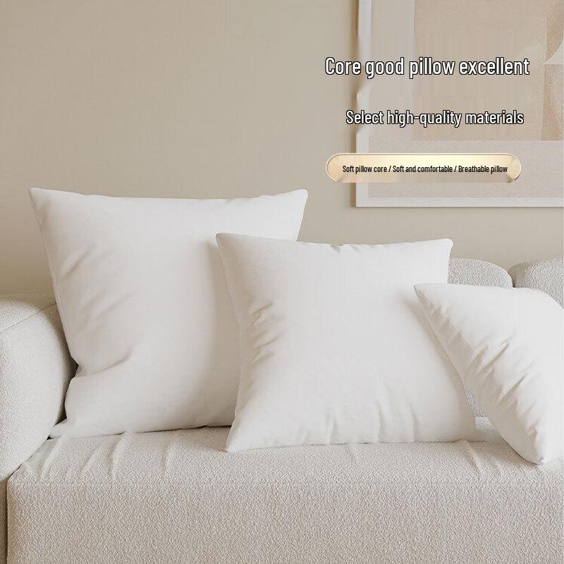 Throw Pillow Cushion Insert