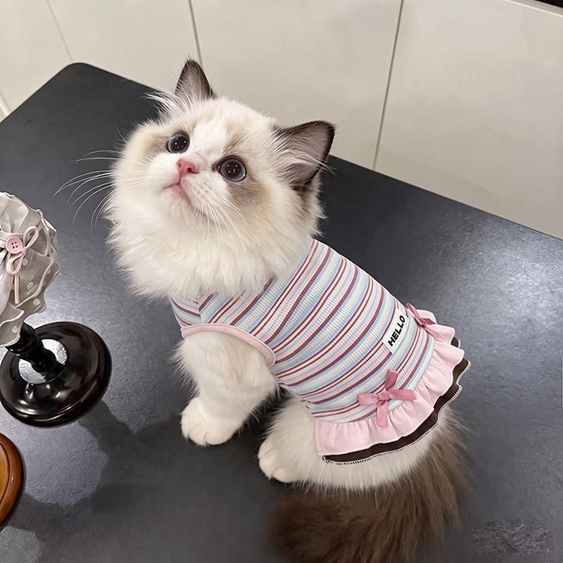 Dog clothes Autumn and winter rainbow striped dress Bigbear cat teddy Pomeranian small dog velvet pet vest