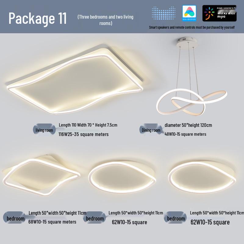 Modern Minimalist Ceiling Light Package with Smart Home Integration for Whole House