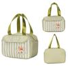 Disney Cartoon Insulated Lunch Bag