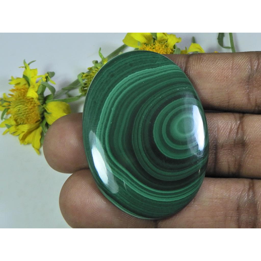 AA++ 101Cts. Natural Green Malachite Oval Cabochon Loose Gemstone 33X47X04MM D-12
