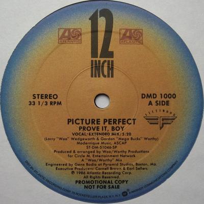 12inch Record PICTURE PERFECT - Prove It, Boy DMD1000PROMO Fleetwood Recor 1986 US Dance & Electronica Used