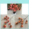Faux Persimmon Fruit Branch For Home Decor With Foam Painted Berries