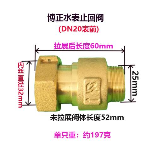 DN15 DN20 DN25 1/2" 3/4" 1" BSP Femmina Maschio Ottone Valvola di Ritegno Unidirezionale Non Ritorno Per Installazione Prima O Dopo il Contatore dell'Acqua