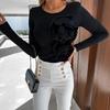 Long Sleeve Fitted Crew Neck Casual Shirt For Women