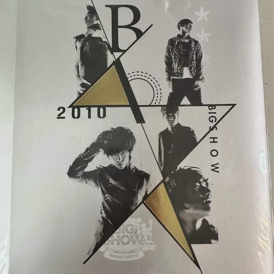 

Буклет-фотобук Big Bang 2010