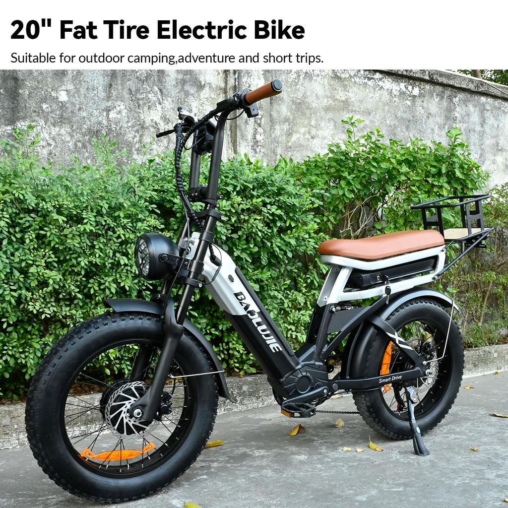 Pro New-DP-2033 Elektrické kolo, Dva motory, Dvě baterie, Dvě hydraulické brzdy, EBike, 20*4.0 Plně odpružené, 48V, 30Ah, 2000W