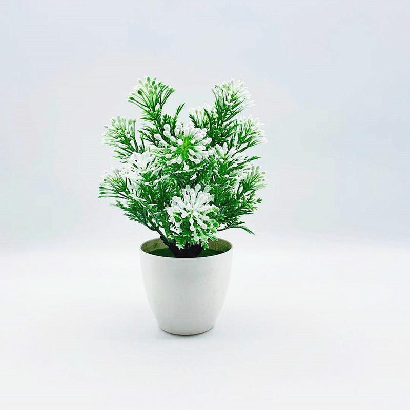 Odorata Lour Aglaia Potted Plant Bonsai Living Room And Event Decoration