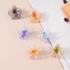 Koreanischer Stil 4CM Transparenter Glitzer Plumeria Haarspange für Damen