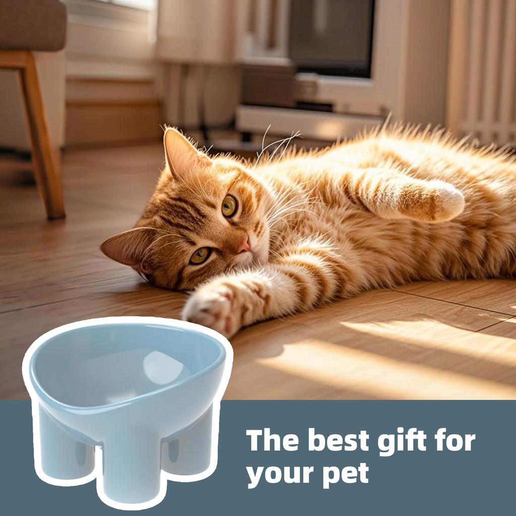 Elevated Tilted Pet Bowl – Ergonomic Raised Feeding Dish For Small Dogs And Cats – Non- Macaron Color Food And Water Bowl