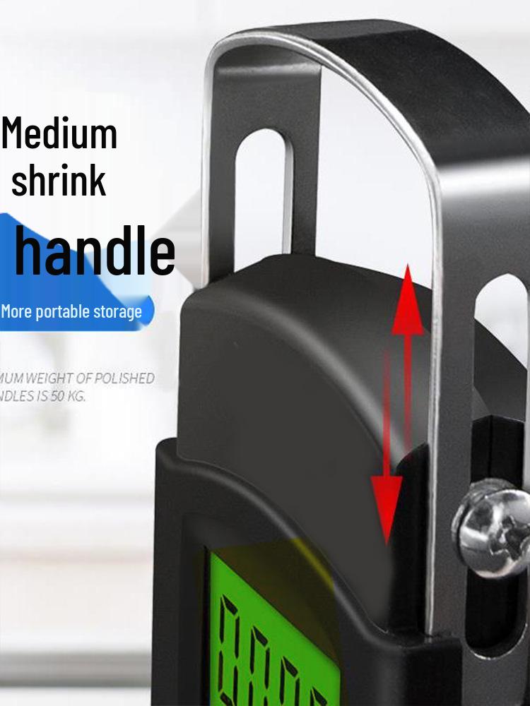 High-Precision Portable Fishing and Vegetable Scale: Compact Handheld Electronic Gram Scale
