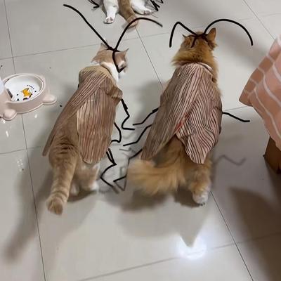 Costume da Gatto Fai-da-te Scarafaggio Carino-Strisciato Piccante - Stile Celebrità di Internet