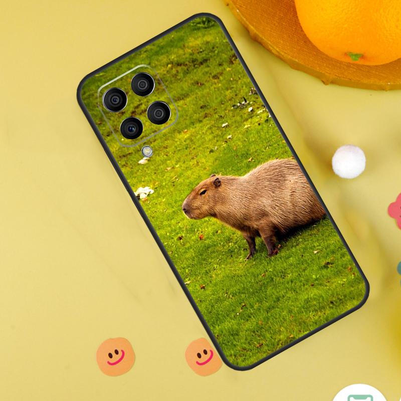 

Animal Capybara Case For Samsung Galaxy M15 M35 M55 M11 M14 M34 M54 M31 M13 M53 M51 M12 M32 M52 M16 M36 M56 Samsung M15