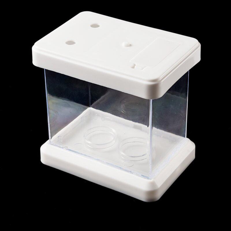 Nowy! Mini kolorowe akwarium zmieniające kolor Odpinany pulpit do oglądania krajobrazu dla żółwi rybnych