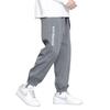 Ice Pants Men's Summer New Thin Casual Loose Large Size Leggings Sports Harlan Pants