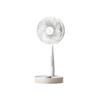 Lucky Cow Retractable Fan