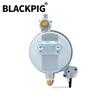 GT241 154F Engine LPG Dual Fuel Carburetor Reducer Assy Gasolina Petrol Generator Parts