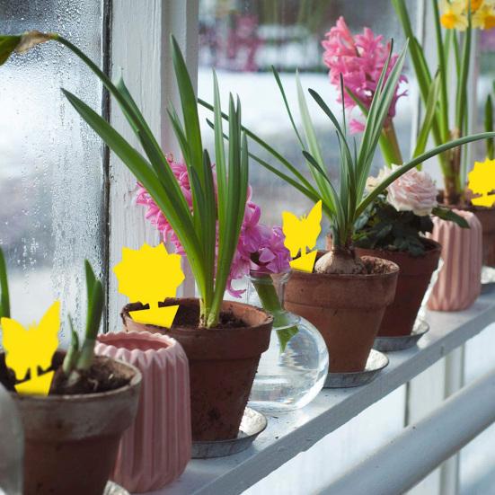 20Pcs Flying Gnat Catcher Insect Dual Sided Yellow Sticky Trap Indoor Outdoor