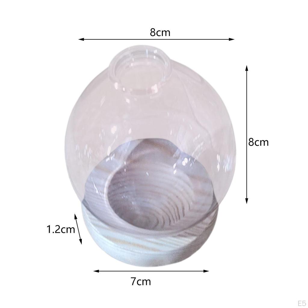 Hydroponic Plant Pot Bud Vase Home Desk Flowerpot Desktop Glass Planter for