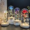 Eternal Flower Glass Cover Rose Birthday Gift Mother's Day Valentine's Day Gift Creative Night Light Ornament
