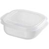Fridges Containers Rices Freshing Box Fruit Vegetable Organising Box  Kitchen Accessories