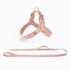 Waterproof Leather Dog Breast Strap Hand Holding Rope Vest-Style Medium Large Dog Explosion-Proof Leash Outing Pet Supplies