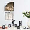 2026 Cute Cats Hanging Calendar Cat Ball Calendar For Cat Lovers 12 Months Funny Cat Moments Hangable Wall Calendar