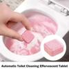 Powerful Descaling Toilet Cleaning Effervescent Tablets  Toilet Cleaning Tool