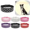 Expandable Pet Collar Chain With Gorgeous Rhinestone Design Various Colors Available