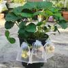 100PCS Fruit Protection Bags Anti-Bird Garden Netting Bags Strawberry Grapes Mesh Bag Plante Vegetable Netting Cover Garden Tool