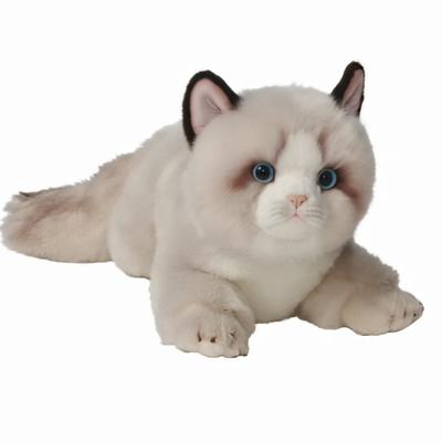 HOKESS Ragdoll Katze Plüschtier Lebensecht Weich Kuscheltier Kätzchen Geburtstagsgeschenk für und Katzenliebhaber 20-Zoll Spielzeug, Tier, Jungen, Mädchen, Kinder,