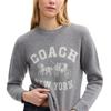 Coach Ss26 Wool Carriage Pattern Crewneck Sweater Women Sweater CDK86-HGR