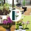 ABS Reliable Practical To Orchid Stakes For Secure Plant Support Plastic Tree Trunk Guard
