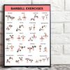 3Pcs Home Workout Poster Set with Dumbbell Bodyweight Barbell Exercises Full Body Strength Training Guide for Beginners Advanced Laminated Fitness