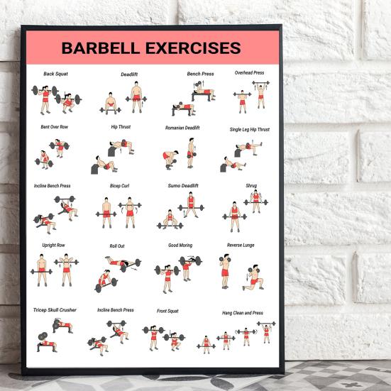 3Pcs Home Workout Poster Set with Dumbbell Bodyweight Barbell Exercises Full Body Strength Training Guide for Beginners Advanced Laminated Fitness