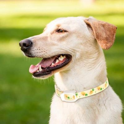 Yousheng Haustierabwehrhalsband Effektiv Verstellbar Wasserdicht Bedruckt Anti-Floh-Zeckenhalsband für Kleine Mittlere Große Hunde Katzen Welpen Haustierbedarf
