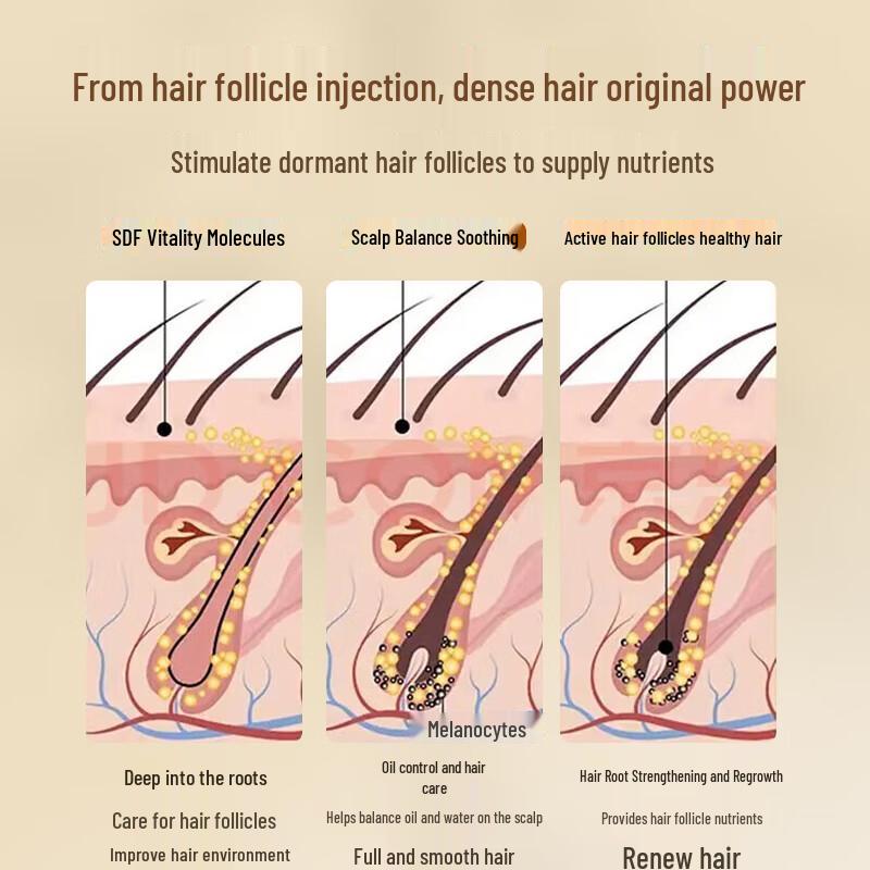 Nanjing Tongrentang Ginger Anti-Hair Loss & Growth Shampoo 508g