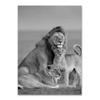 Animal Family Poster Lion Family Print Black and White Canvas Wall Art Modern Painting Picture Decor for Bedroom Wall Art Gift