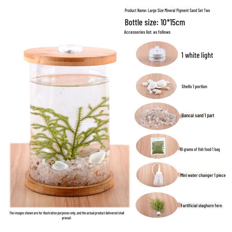 Eco-Friendly Mini Fish Micro-Landscape Aquarium: No-Water-Change Desktop Tank for Betta Fish