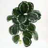 Mini Green Leaves Wall Hanging: Potted Pothos Monstera Planter for Decorative Flower Arrangements and Landscaping