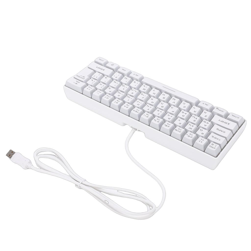 Russische Mechanische Gaming-Tastatur 61 Tasten Kompakt RGB Kabelgebunden Russisch Englisch Tastatur für Arbeit Geschäftsreise