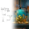 Aquarium Feeding Tube and Tank Accessories, Acrylic Glass, Easy To Clean, Clear Feeder
