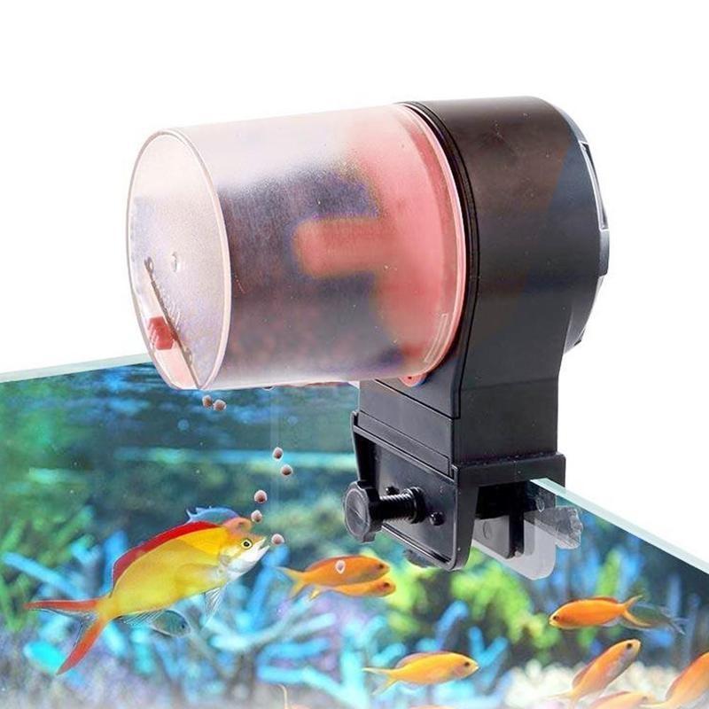 automatic aquarium