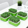 2Pcs Plastic Germination Tray Double Layer Hydroponic Planting Tray  Indoor Outdoor
