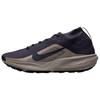 Men's Sneakers Acg Pegasus Trail GORE-TEX Waterproof Trail 'Gridiron Cream Ii Racer Blue Gridiron'