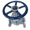 Xuncheng Heavy-Duty Carbon Steel Rising Stem Flange Gate Valve