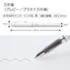 Kokuyo PERPANEP Fountain Preppy Fine Pen, Nib, PER-PR03W